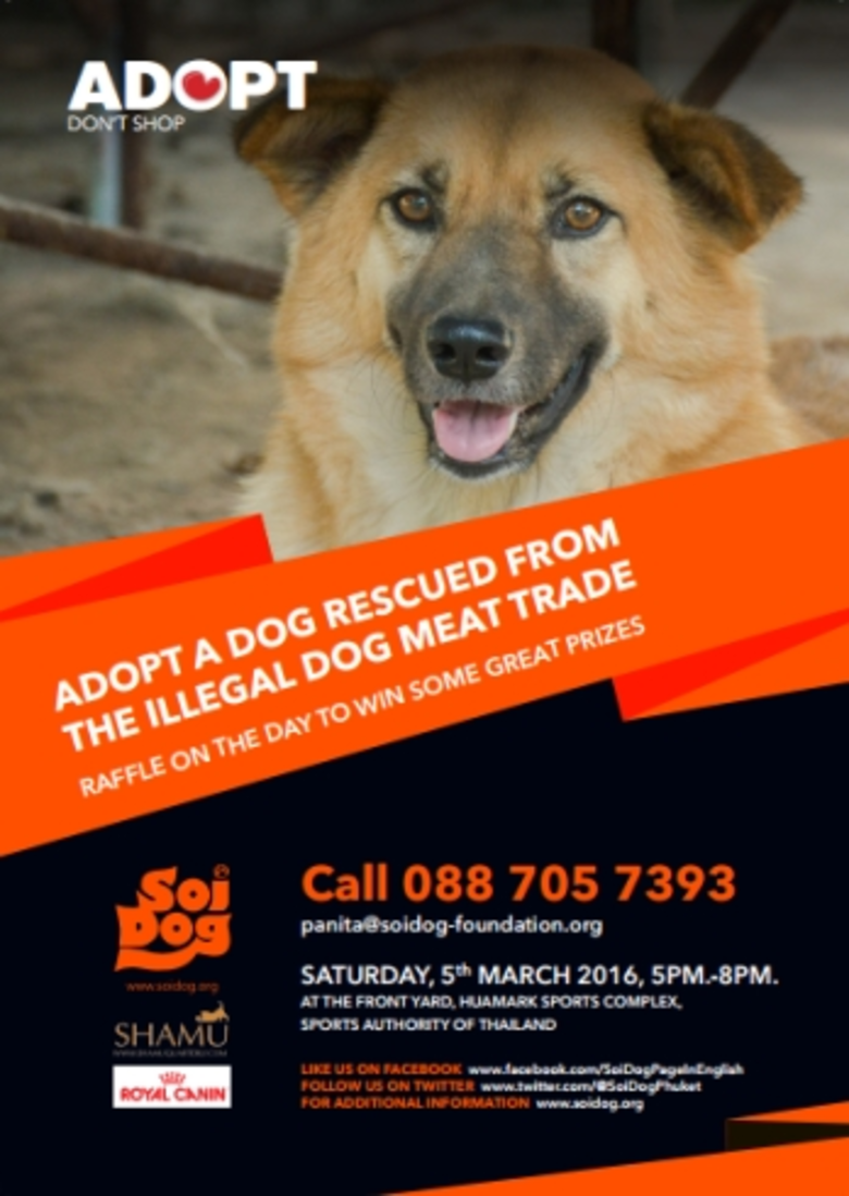 On Saturday the 5th of March Soi Dog Foun...