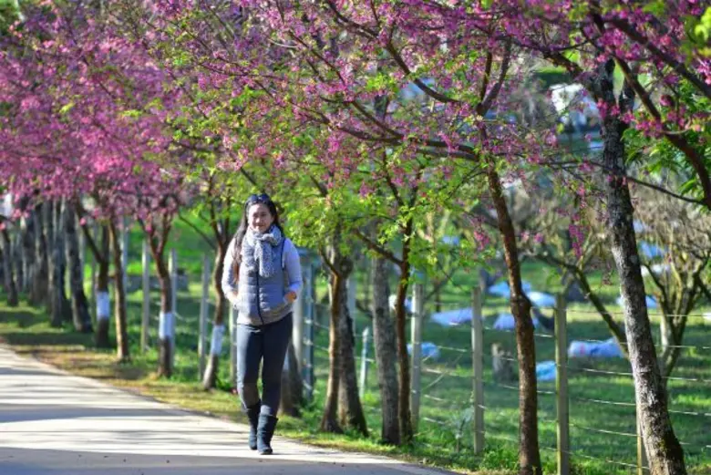 สกายสแกนเนอร์ จับมือ มาเรีย ณ ไกลบ้าน แชร์ทิปส์สำหรับผู้หญิงที่เดินทางคนเดียวพร้อมแนะนำ 10 แอพพลิเคชั่นฟรีสำหรับการเดินทาง