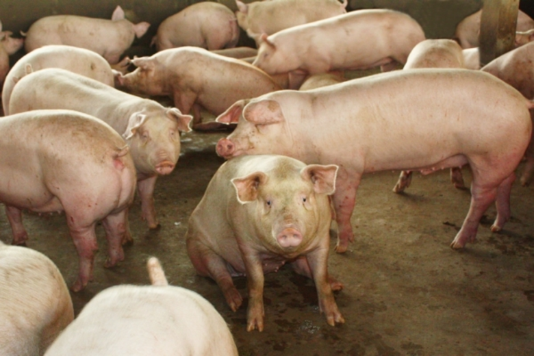 วิกฤตภัยแล้งรุนแรงปีนี้ ส่งผลกระทบต่อภาคก...