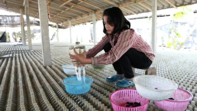 ทีวีไกด์: รายการ “เรื่องจริงยิ่งต้องเล่า Fact Fiction” ตอน “ปลากัดแห่งสยาม” เล่าถึงเสน่ห์สุดมหัศจรรย์ “ปลากัดแห่งสยาม”