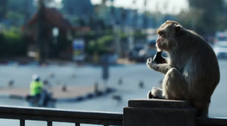 รายการ "เรื่องจริงยิ่งต้องเล่า" (Fact Fic...