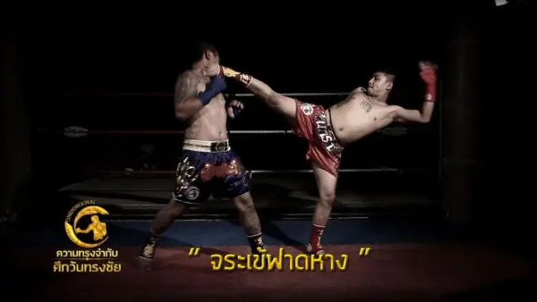 ทีวีไกด์: รายการไฮไลท์ประจำวันจันทร์ที่ 21 มี.ค.59 ช่อง PPTV HD36