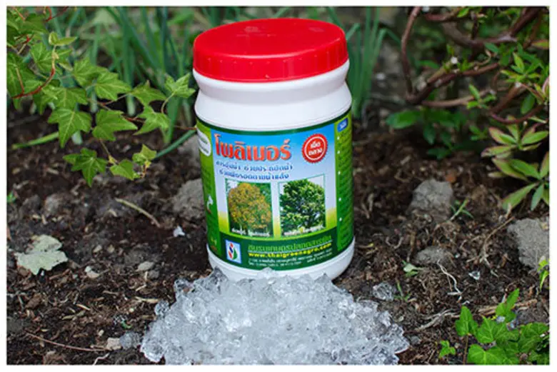 ชมรมเกษตรปลอดสารพิษ ภายใต้ บริษัท ไทยกรีน...