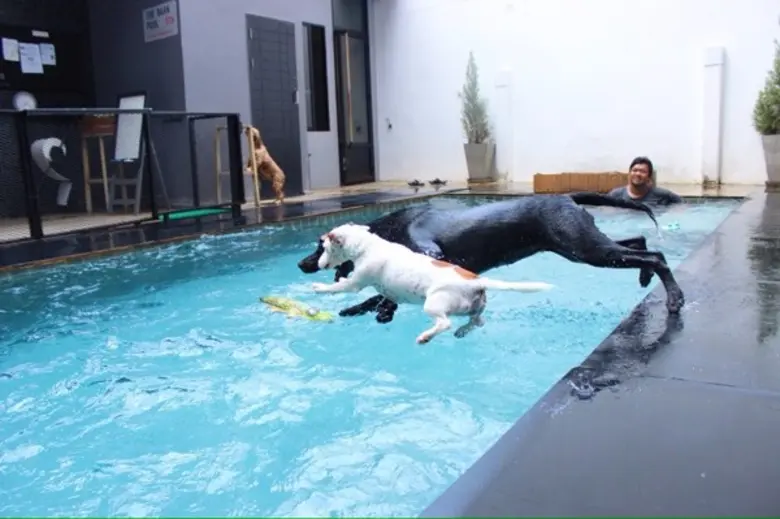 เดอะบาร์คยาร์ด บี เค เค จัดโปรโมชั่นจุใจ ...