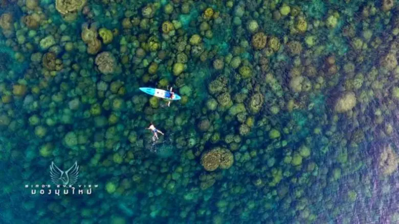 วันอังคารที่ 29 มีนาคม 2558 : เวลา 13.10-...