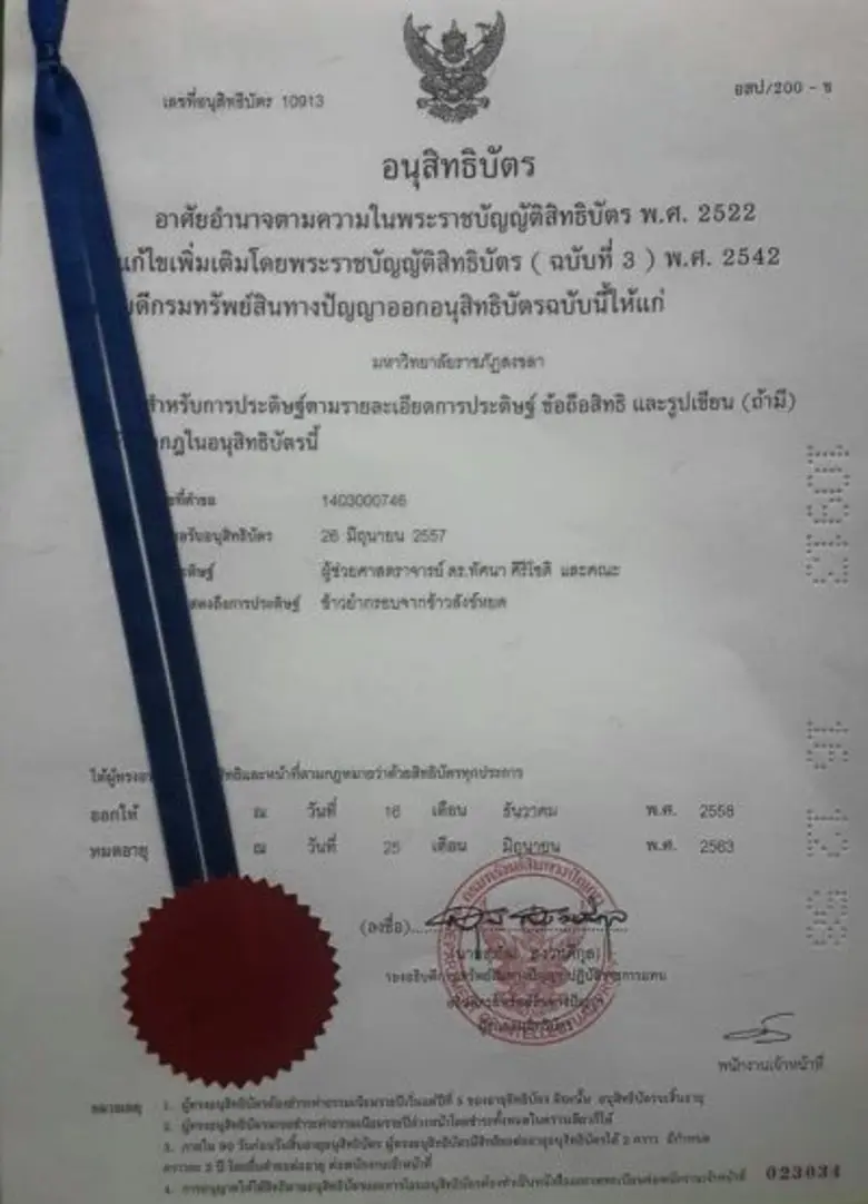 กรมทรัพย์สินทางปัญญา ออกอนุสิทธิบัตรข้าวย...