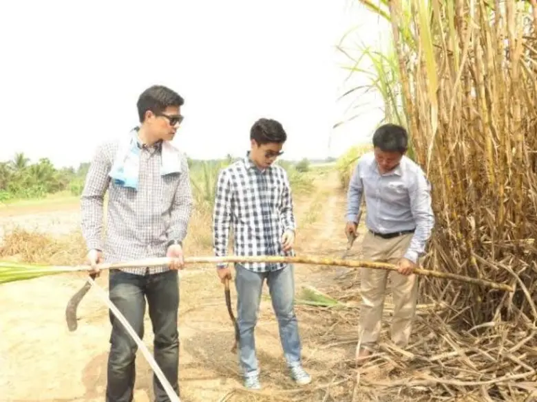 ทีวีไกด์: รายการ “ครัวอินดี้” “เชฟฟาง-แบม” บุกไร่อ้อย ของดีชลบุรี ครีเอทเมนูรับลมร้อน “กรานิต้าน้ำอ้อย”