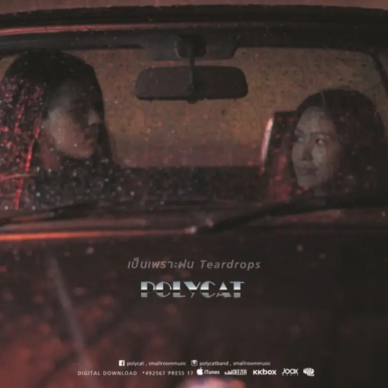 ARTIST : POLYCAT LABEL : SMALLROOM GENRE ...