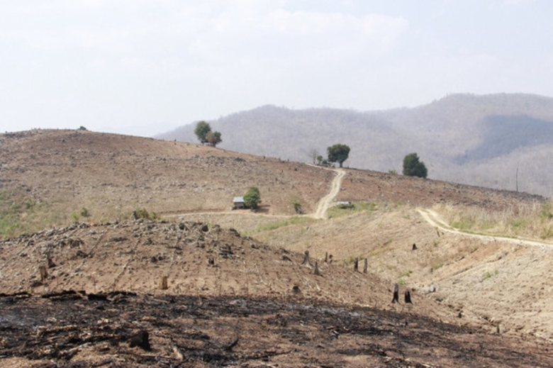 พลิกฟื้นผืนป่า สู่การพัฒนาที่ยั่งยืน