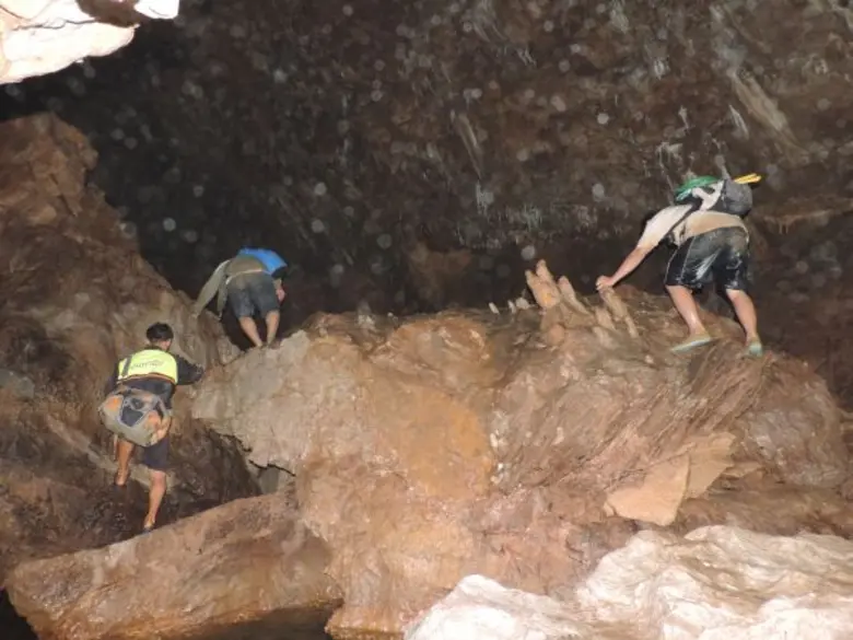 นักวิจัยไทยได้ค้นพบปลาที่เดินได้คล้ายสัตว...