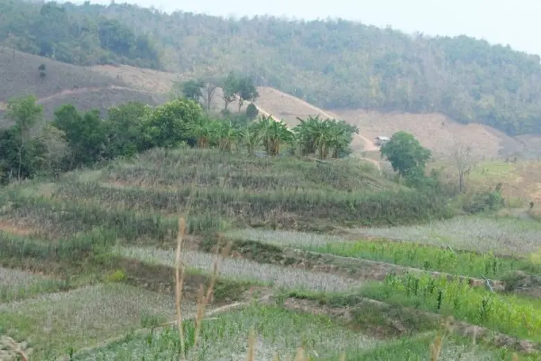 “ภัยแล้ง” แก้ได้ด้วย "ชุมชน" ลุกขึ้นมา “บริหารจัดการน้ำ” ด้วยตนเอง