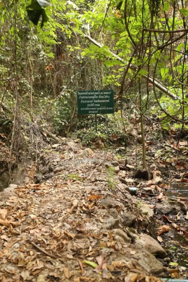 “ภัยแล้ง” แก้ได้ด้วย "ชุมชน" ลุกขึ้นมา “บริหารจัดการน้ำ” ด้วยตนเอง