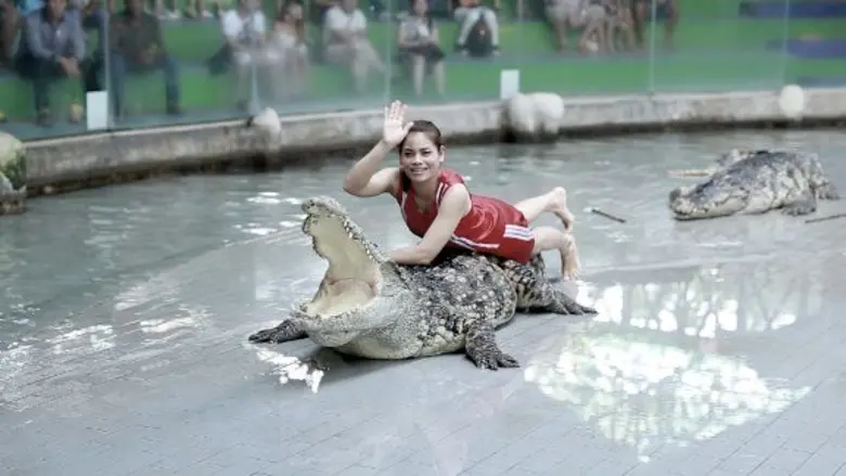 ทีวีไกด์: รายการ “เรื่องจริงยิ่งต้องเล่า Fact Fiction” ตอน “หมอจระเข้” เกาะติดชีวิตหมอจระเข้…กับทุกวินาทีเสี่ยงตาย