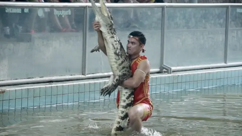 ทีวีไกด์: รายการ “เรื่องจริงยิ่งต้องเล่า Fact Fiction” ตอน “หมอจระเข้” เกาะติดชีวิตหมอจระเข้…กับทุกวินาทีเสี่ยงตาย