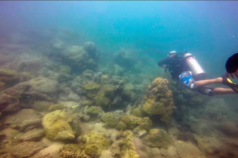 กรมทรัพฯ ลงเกาะช้าง ปั้นไกด์ดำน้ำ รักษ์อ่าวไทยทะเลแห่งอาเซียน