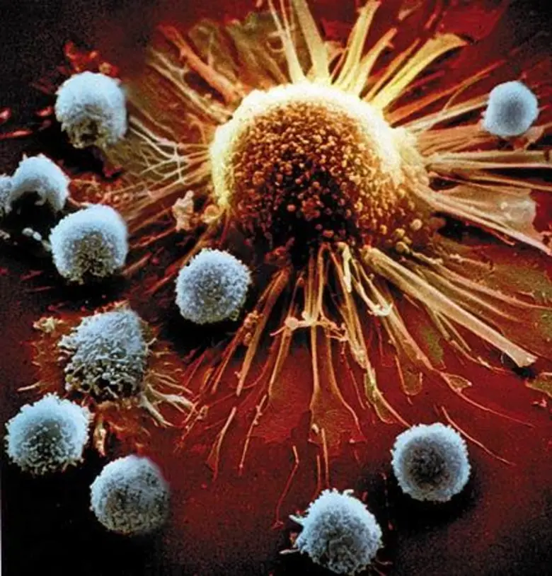 ปัจจุบัน "มะเร็ง" ถือเป็นโรคร้ายอันดับต้น...