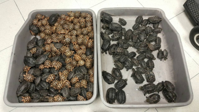 หนึ่งในตัวการสำคัญของกลุ่มขบวนการลักลอบค้...