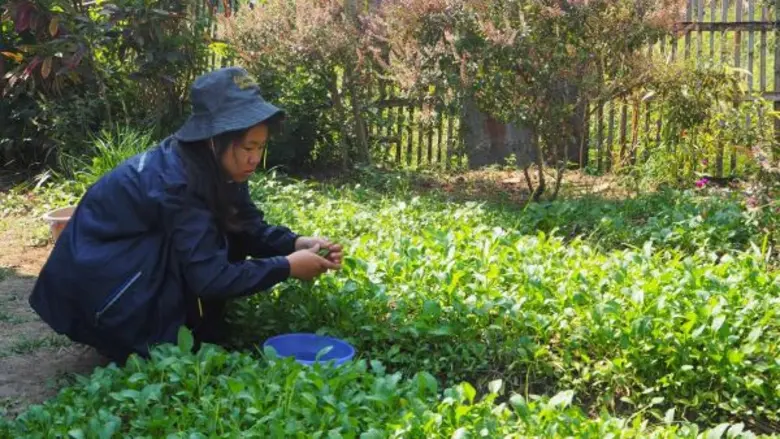 รายการ "สานรัก คนเก่งหัวใจแกร่ง" เสาร์นี้...