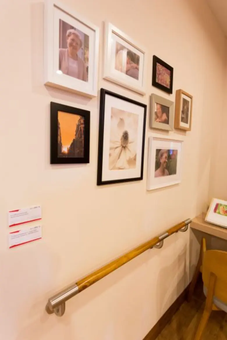 คอตโต้ เปิดตัว "เนชูล่า ลิฟวิ่ง" (Natura ...