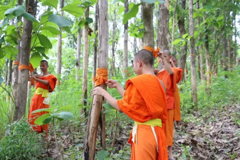 จากแรงศรัทธาสู่การ“บวชป่าชุมชน”  มูลนิธิสยามกัมมาจล ธนาคารไทยพาณิชย์ จำกัด (มหาชน)