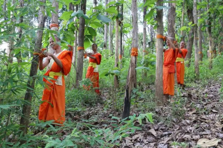 จากแรงศรัทธาสู่การ“บวชป่าชุมชน”  มูลนิธิสยามกัมมาจล ธนาคารไทยพาณิชย์ จำกัด (มหาชน)
