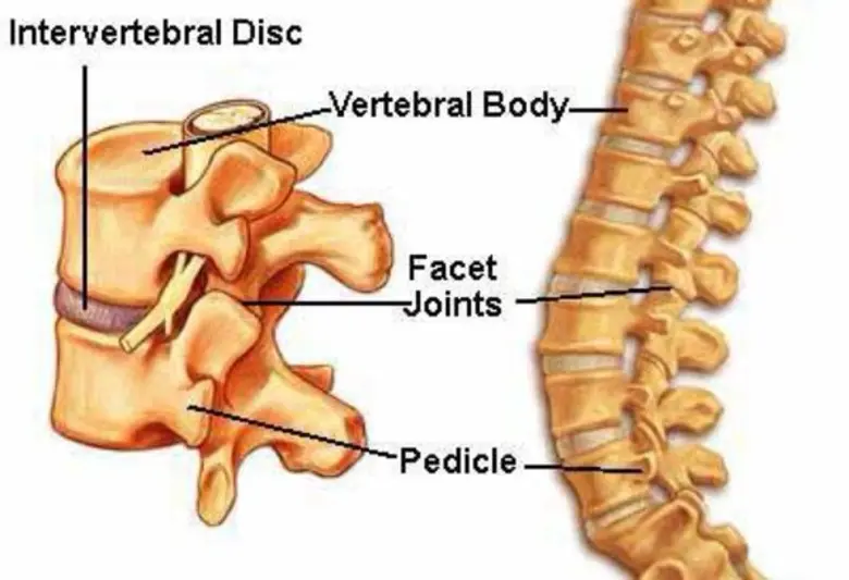 อาการปวดเมื่อยกล้ามเนื้อและตามอวัยวะต่างๆ...