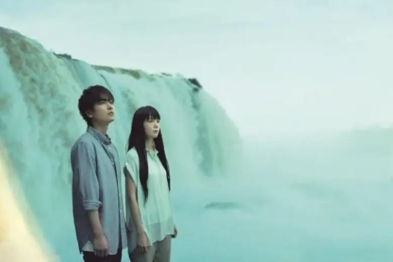 IF CATS DISAPPEARED FROM THE WORLD 1. If ...