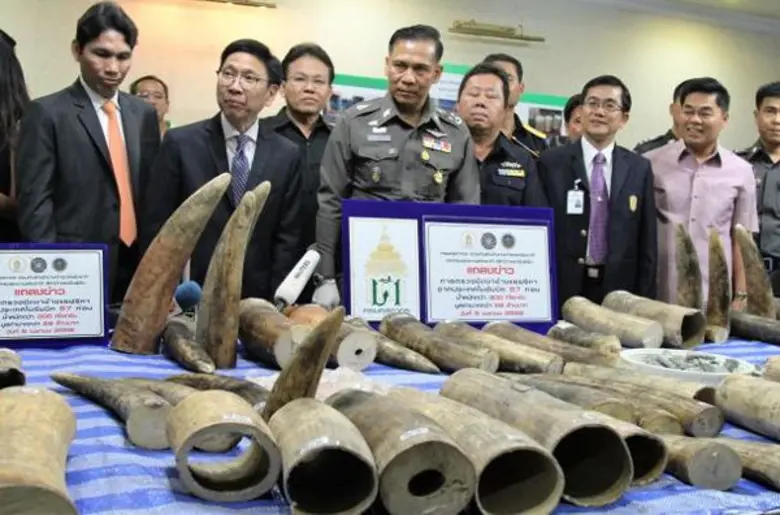 กรมศุลกากรสามารถตรวจยึดงาช้างแอฟริกา ลักล...