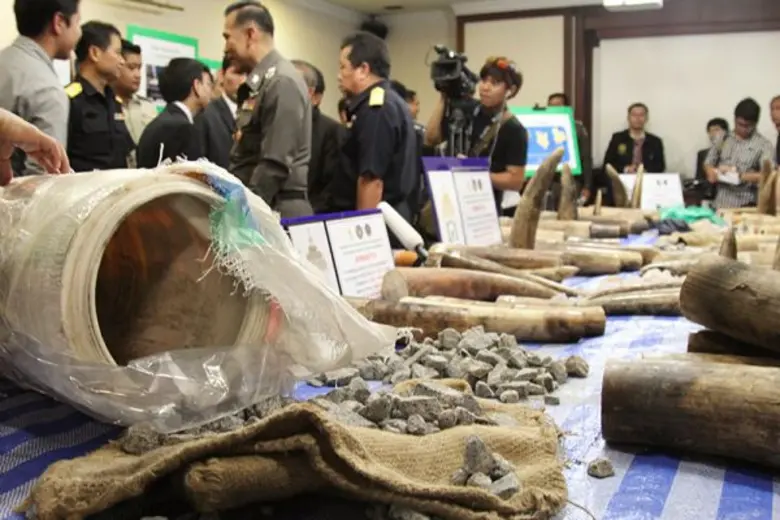 อีกก้าวสำเร็จของไทยกับการยึดงาช้างแอฟริกา