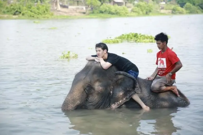 ทีวีไกด์: รายการ “โตแล้ว” ทอย เฟย ปลาย นนทร์ กับภารกิจคนดี โตแล้ว… เป็นคนดีศรีอยุธยา