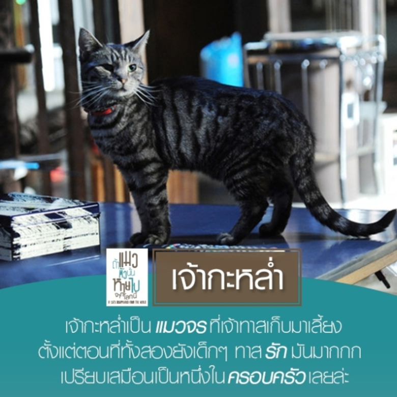 ผมตัดสินใจ ลบ เพื่ออยู่ ผมเป็นบุรุษไปรษณี...