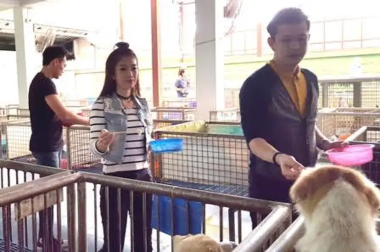 “แจ็ค ธนพล – เบญจา – ติ เส้นเล็ก” รวมตัวศิลปินอาร์สยาม ทำบุญบ้านสงเคราะห์ฯ “หมา-แมว”