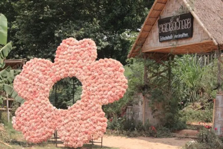 "ซากุระเมืองไทย" หรือ "นางพญาเสือโคร่ง" ด...