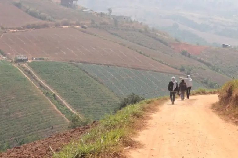 มหาวิทยาลัยนเรศวรศึกษาการเปลี่ยนแปลงของชุมชนชาวม้ง ณ บ้านใหม่ร่องกล้า นครไทย  ประกอบงานวิจัย “การจัดการชุมชนท่องเที่ยวภูลมโลและพื้นที่เชื่อมโยงอย่างยั่งยืน”