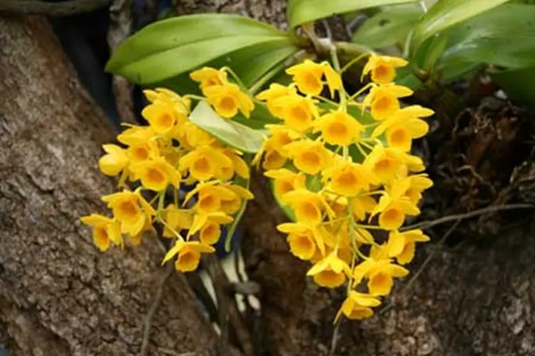 มหาวิทยาลัยแม่โจ้ จะจัดประชุมเชิงปฏิบัติการ เรื่อง ...