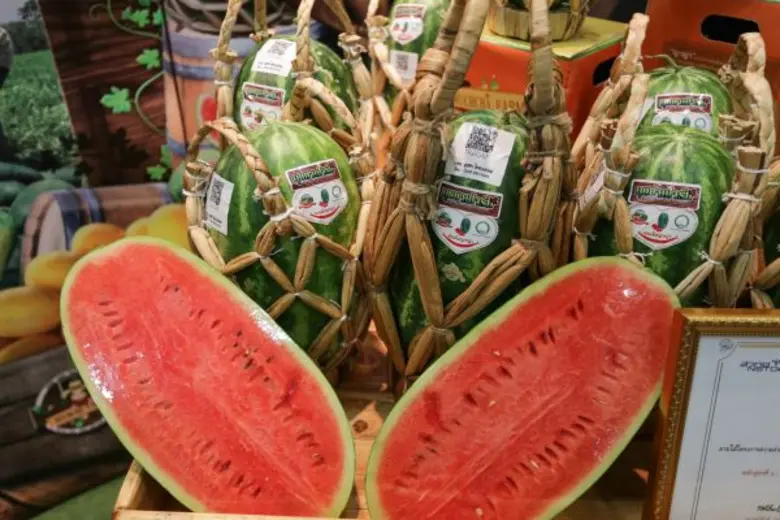 ทเวนตี้โฟร์ ช้อปปิ้งชูกลยุทธ์หนุน SMEs ไทยเติบโตอย่างต่อเนื่อง