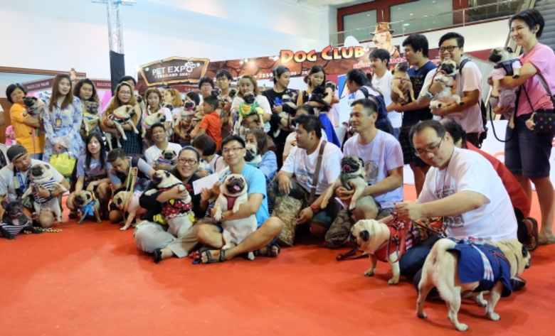 นางสาวดารณี ทองประชุม ผู้จัดการกลุ่มโครงก...