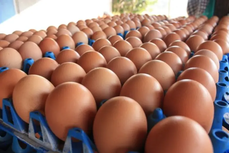 นายมงคล พิพัฒสัตยานุวงศ์ นายกสมาคมผู้ผลิต...