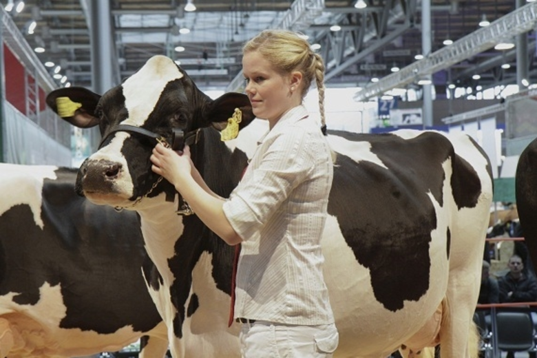 หอการค้าเยอรมัน-ไทย ในฐานะตัวแทนอย่างเป็น...