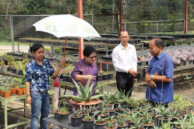 เมื่อวันที่ 27 พฤษภาคม 2559 นางปัจฉิมา ธน...