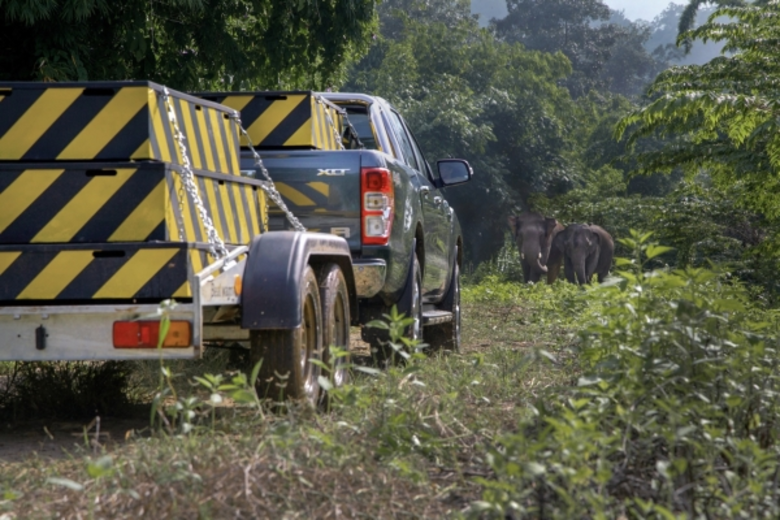 ฟอร์ดปล่อยบททดสอบสุดท้ายของสารคดีออนไลน์ช...