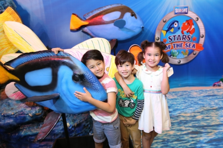 ซีไลฟ์ แบงคอก โอเชี่ยน เวิร์ล แจกใหญ่แพ็คเกจบินลัดฟ้าดำน้ำสิปาดัน เพียงร่วมกิจกรรม “ท้านับ...รับโชคกับบลูแทงก์”ตั้งแต่ 1 มิ.ย. ถึง 31 ก.ค. นี้เท่านั้น!