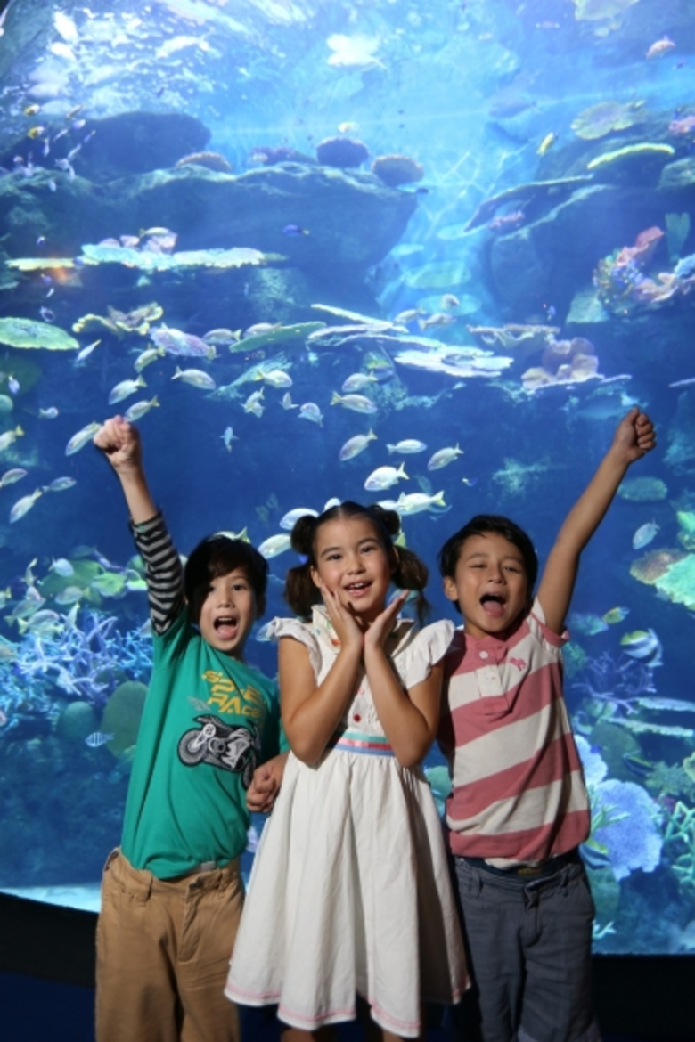 ซีไลฟ์ แบงคอก โอเชี่ยน เวิร์ล แจกใหญ่แพ็คเกจบินลัดฟ้าดำน้ำสิปาดัน เพียงร่วมกิจกรรม “ท้านับ...รับโชคกับบลูแทงก์”ตั้งแต่ 1 มิ.ย. ถึง 31 ก.ค. นี้เท่านั้น!