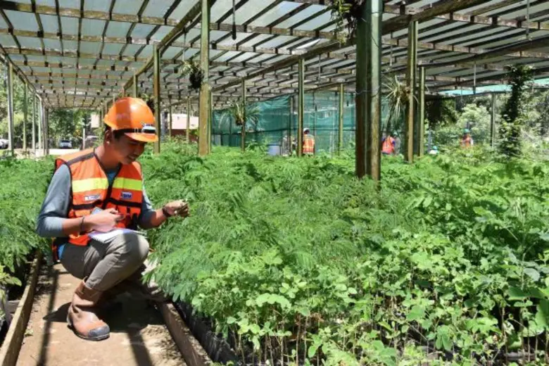 บ้านปูฯ พาเยาวชน “เพาเวอร์กรีน” ศึกษาความหลากหลายทางชีวภาพในอินโดนีเซีย เรียนรู้การอนุรักษ์พันธุ์พืช-สัตว์หายาก จุดประกายไอเดียพัฒนาท้องถิ่น