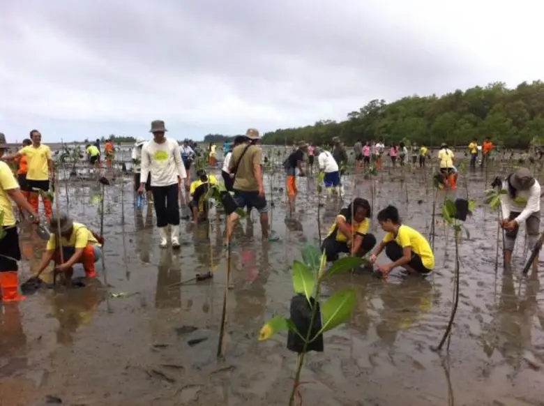 ซีพีเอฟ เปิด”ศูนย์การเรียนรู้ ซีพีเอฟ ปลูก ปัน ป้อง ป่าชายเลน” สร้างเครือข่ายอนุรักษ์สิ่งแวดล้อมยั่งยืน