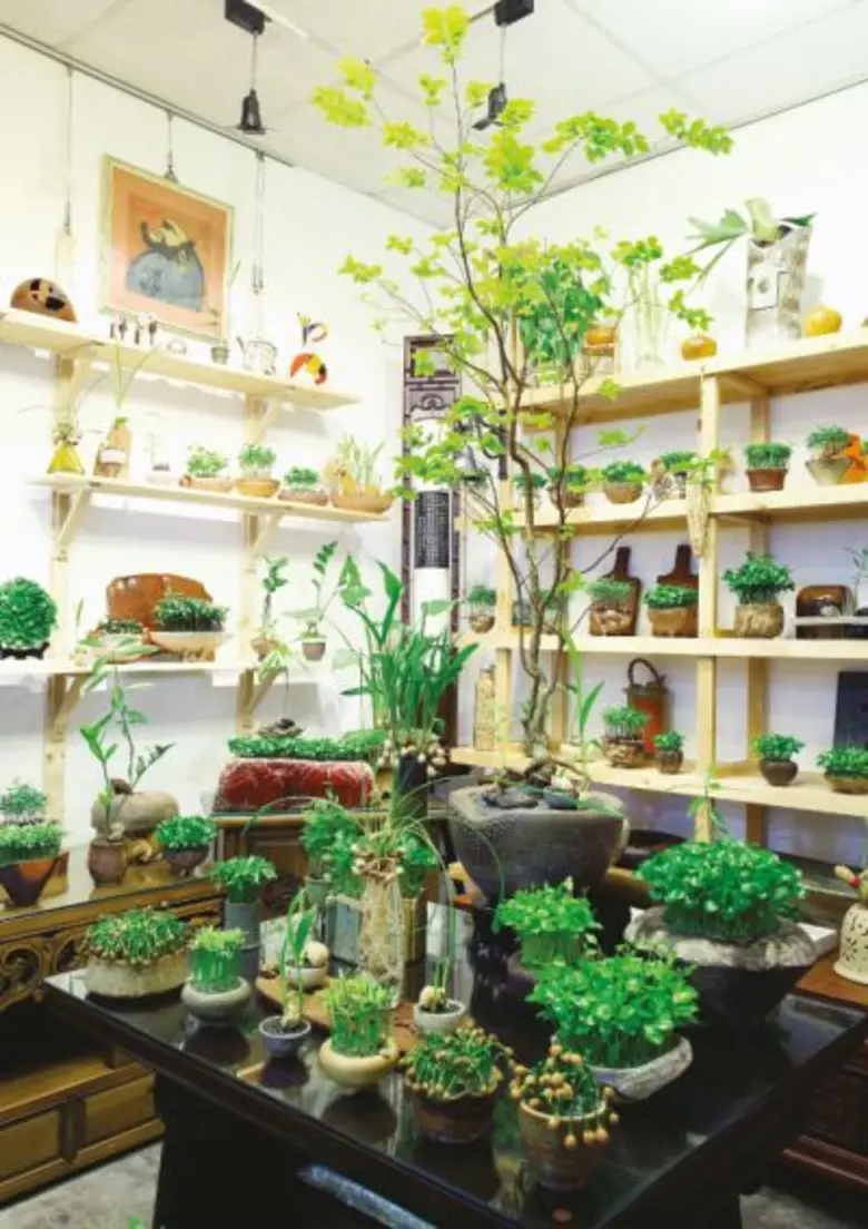 ชีวิตประจำวันของคนเมืองสมัยนี้อาศัยอยู่ในป่าคอนกรีต...