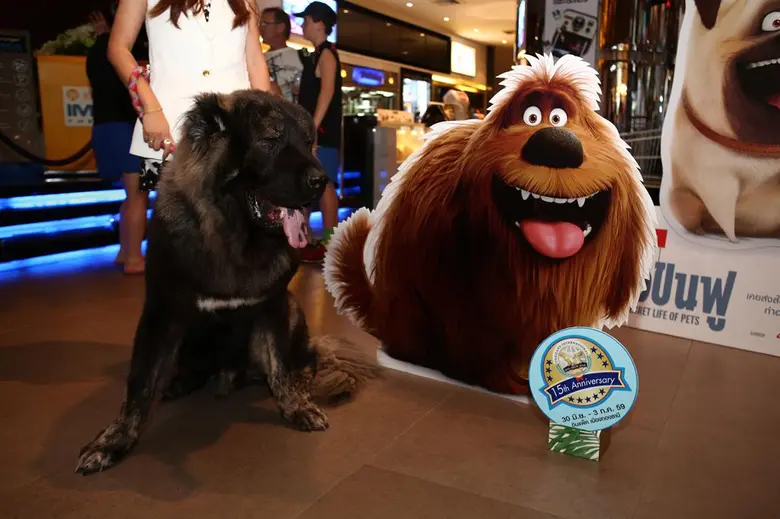 อิมแพ็ค เดินหน้าตอกย้ำผู้นำมหกรรมเพื่อคนร...