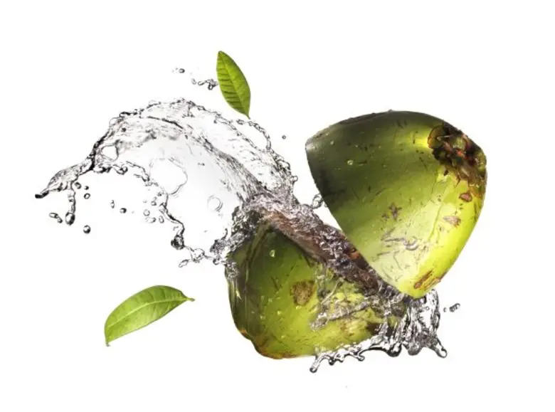 เต็ดตรา แพ้ค เปิดตัวคู่มือการผลิตเครื่องดื่มจากมะพร้าว คู่มือเจาะลึกฉบับแรกสำหรับสร้างแรงบันดาลใจแก่ลูกค้าในการขยายธุรกิจผลิตภัณฑ์มะพร้าว