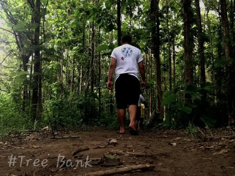 Tree Bank กลุ่มสามเหลี่ยมสร้างสรรค์ อาสาปลูกป่า ณ.วัดถ้ำเขาวง จ.อุทัยธานี