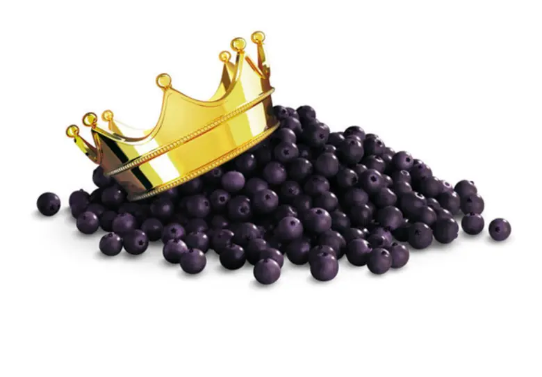 ในปัจจุบันมีการกล่าวถึงอนุมูลอิสระ (Free ...